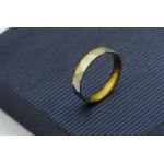 4mm Titanium Gold & Silver Ring