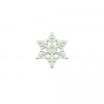 White Snowflake-shaped Titanium Earrings