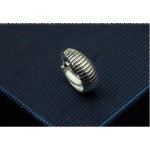 Beautiful With Stripes Titanium Earrings