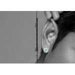 Crystal Clear Light Blue Titanium Earrings