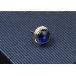Blue Trimed Titanium Earrings