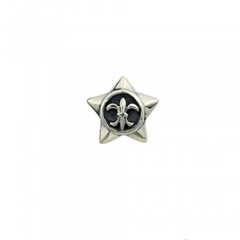 Mystery Star-shaped Titanium Earrings
