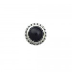 Beautiful Black Spherical Titanium Earrings