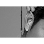 Noble White Round Titanium Earrings