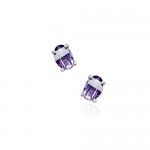 Gorgeous Purple Titanium Earrings