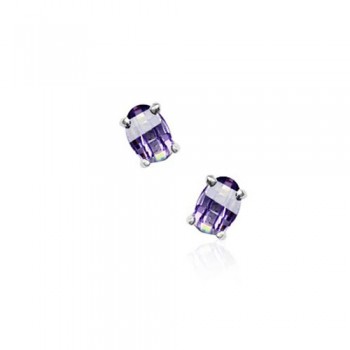Gorgeous Purple Titanium Earrings