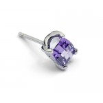 Gorgeous Purple Titanium Earrings