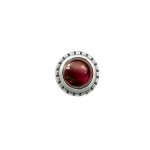 Valued Crimson Titanium Earrings 