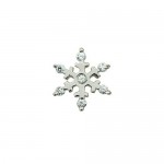 Lovely Snowflake-shaped Titanium Earrings