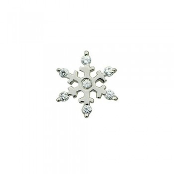 Lovely Snowflake-shaped Titanium Earrings