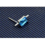 Beautiful Blue Rectangular Titanium Earrings