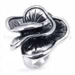Classical Titanium Ring 19254