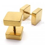 Gold Titanium Boxes Barbell Earrings 18527