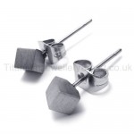 Silver Rose Titanium Earrings 18556