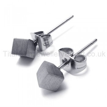 Silver Rose Titanium Earrings 18556