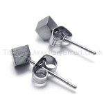 Silver Rose Titanium Earrings 18556