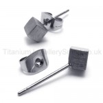 Silver Rose Titanium Earrings 18556