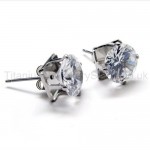 Inlayed Diamond Titanium Earrings 18573