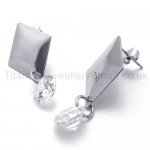 Silver With Diamond Titanium Earrings 19985