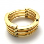 Gold Puzzle Titanium Ring 20395