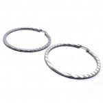 Ring Titanium Earrings 20563