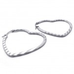 Heart Titanium Earrings 20565