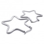 Star Titanium Earrings 20575