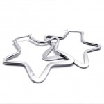 Star Titanium Earrings 20575