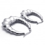 Horn Titanium Earings 20598