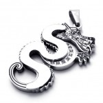 Silver Dragon Titanium Pendant 20762