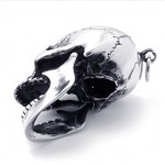 Skull Titanium Pendant 20819