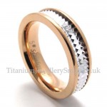 Titanium His and Hers Ring (Women)