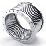 Silver Titanium Spring Ring