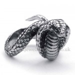 Titanium Cobra Ring