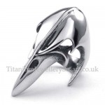 Titanium Ring