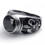 Titanium Ring with Black Zircon