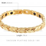 Titanium Golden Bracelet