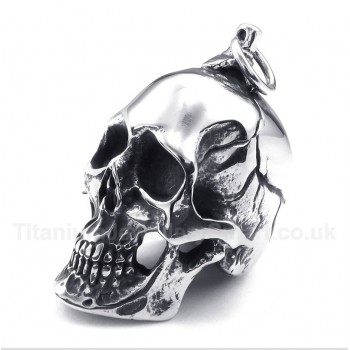 Titanium Skull Pendant with Free Chain