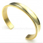 Titanium Gold Bracelet