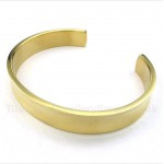 Titanium Gold Bracelet