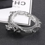   Cool chic zodiac dragon titanium bracelet for men