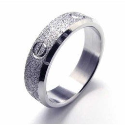 Brushed 6mm Titanium Ring