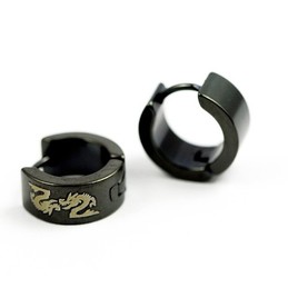 Black Titanium Dragons Earrings