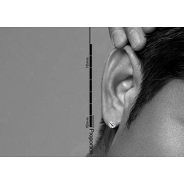 Pretty Fashion Titanium Earrings
