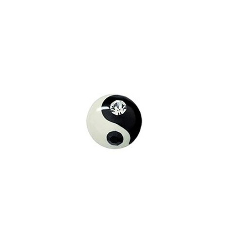 SmallTai Chi-like Titanium Earrings