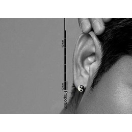 SmallTai Chi-like Titanium Earrings