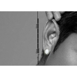 Elegant Retro Oval Titanium Earrings 