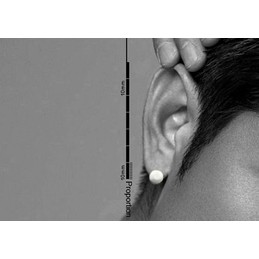 Men's Thumbtack-shaped Earrings 