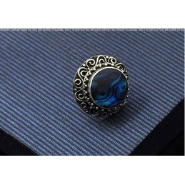 Striking Dark Blue Titanium Earrings