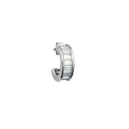 Striking Semi-Circular Titanium Earrings 